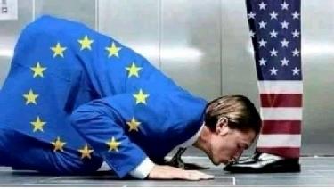 Le vassal européen. Le vassal européen.